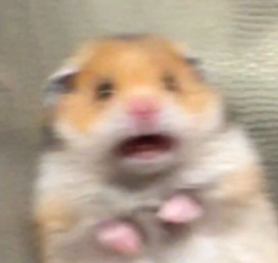 화면%20캡처%202026-09-09%20174754.png